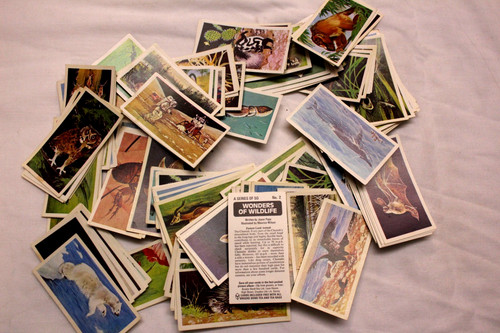 Brooke bond collection - bond,