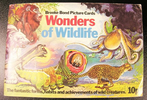 Wonders wildlife brooke - wonders,