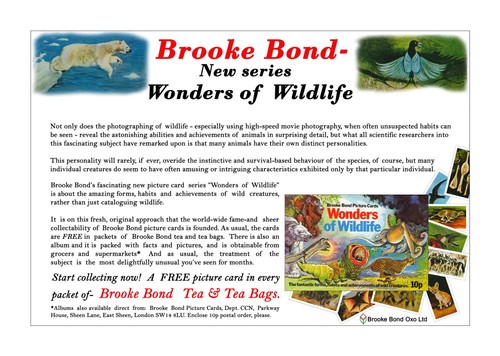 Brooke bond advert adobe - brooke, 'adobe