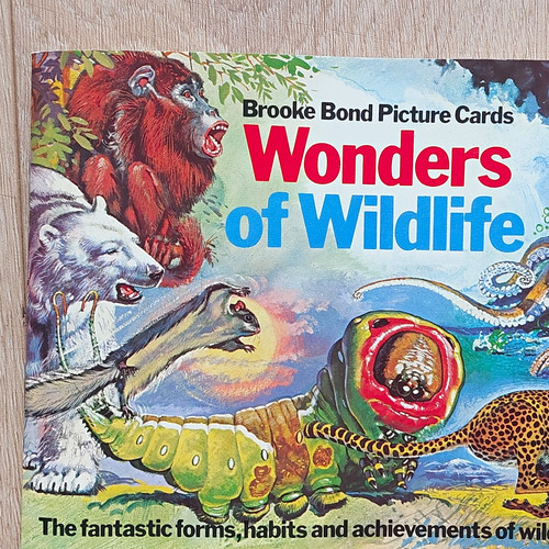Brooke bond tips wonders - brooke,