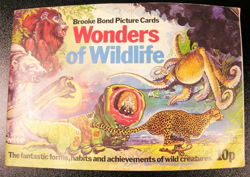 Wonders wildlife brooke - wonders, of