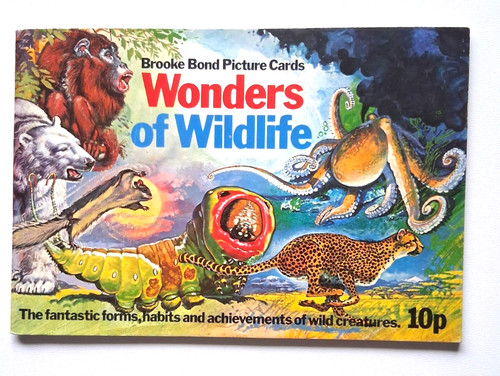 Wonders wildlife brooke - wildlife,