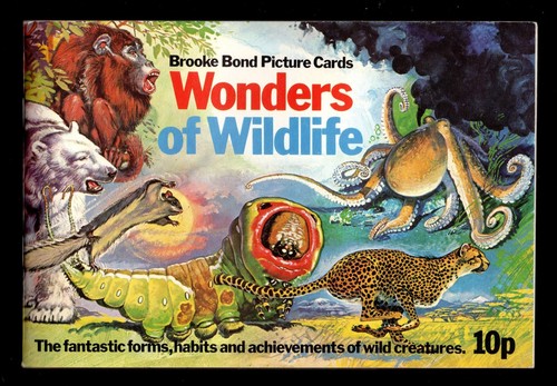 Wonder wildlife album with - wonder,