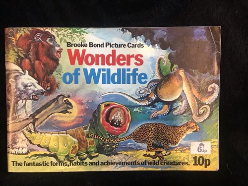 Wonders wildlife brooke - wonders,
