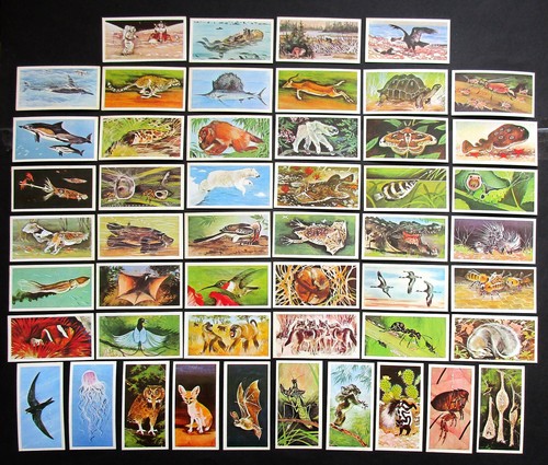 Brooke bond set - bond,