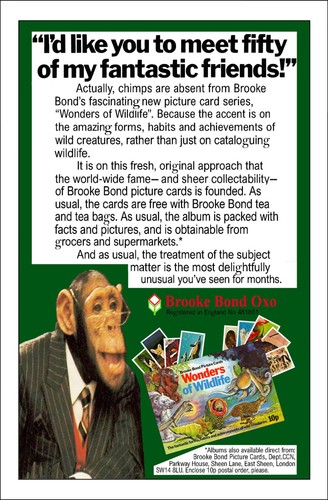 Brooke bond advert adobe - brooke, 'adobe