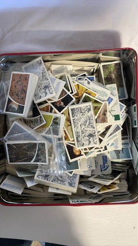 Brooke bond tea cards lot - tea,
