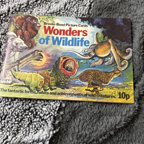 Wonder wildlife brooke - wonder, wildlife-