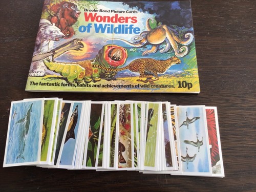 Wonders wildlife empty - wonders,