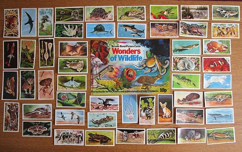 Brooke bond full set - bond, of