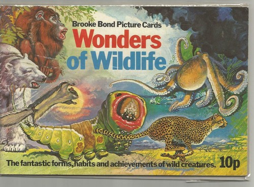 Wonders wildlife - wonders,