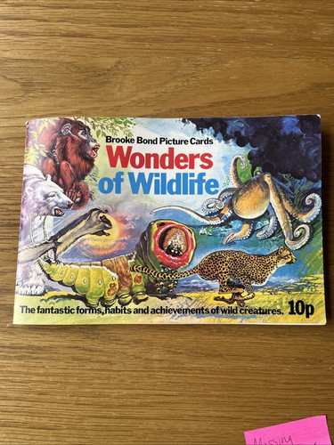 Incomplete wonders wildlife - wonders,