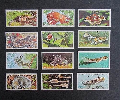 Brooke bond wonders of - ,