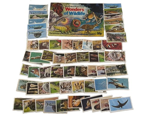 Brooke bond wonders - wonders, of