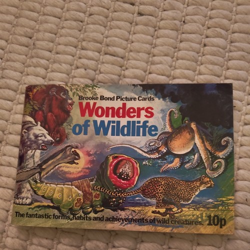 Wonders wildlife brook - of,