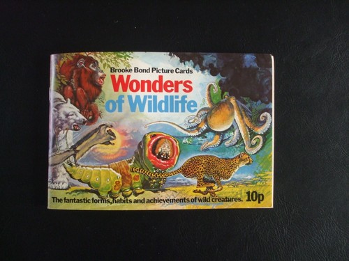 Wonders wildlife brooke - wonders,