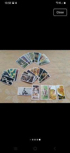 Brooke bond cards tea - brooke,