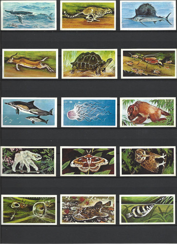 1975 wonders wildlife pg - -,