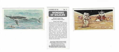 Brooke bond 1975 76 - -, wonders