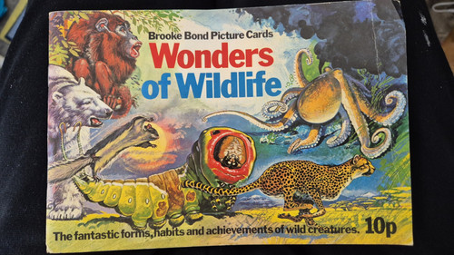 Wonders wildlife brooke - wonders, wildlife: