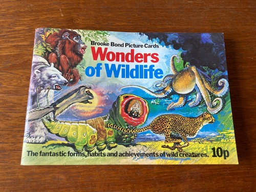Wonders wildlife brook - wonders, of