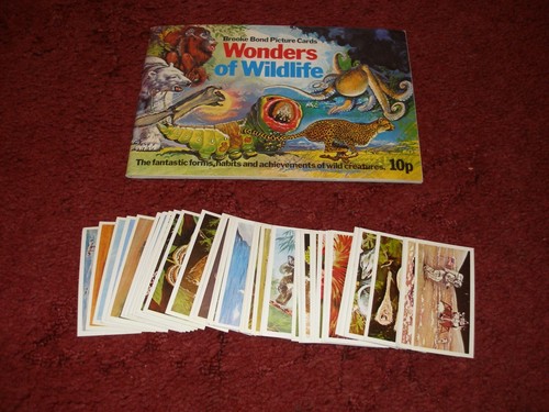 Wonders wildlife empty - of, wildlife.